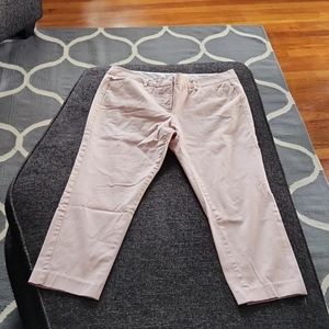 Worthington Pastel Pink Petite Size 10 Petite